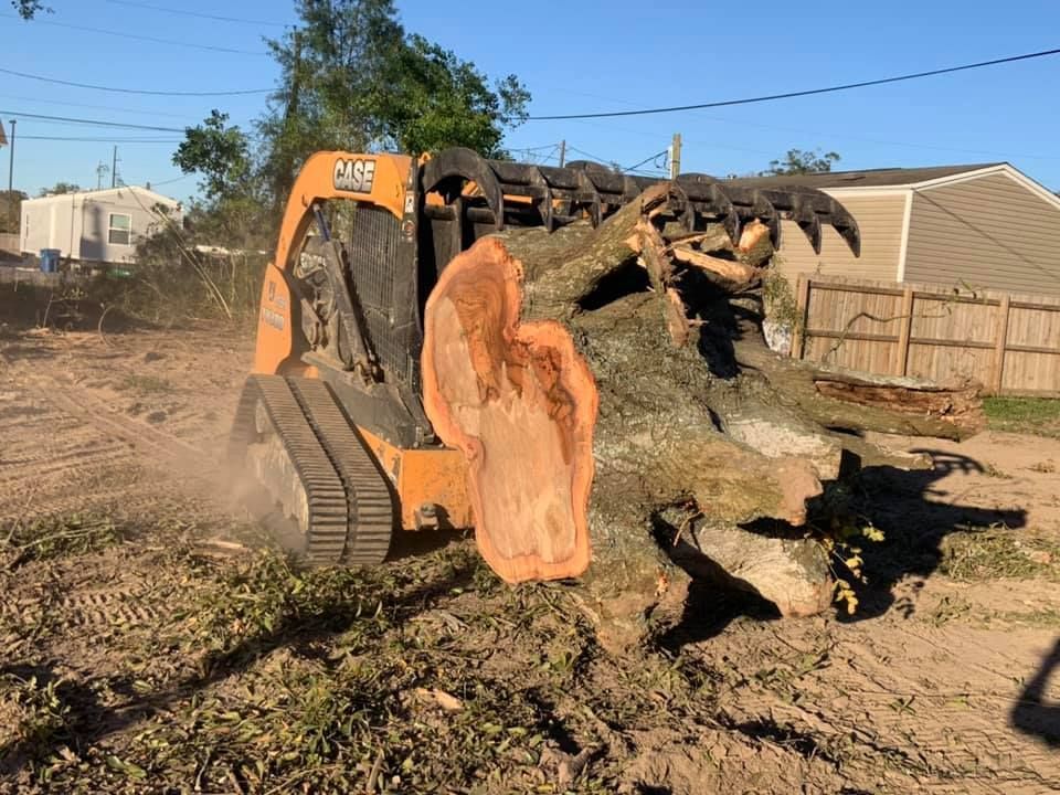 A bulldozer is cutting down a tree in a dirt field.
