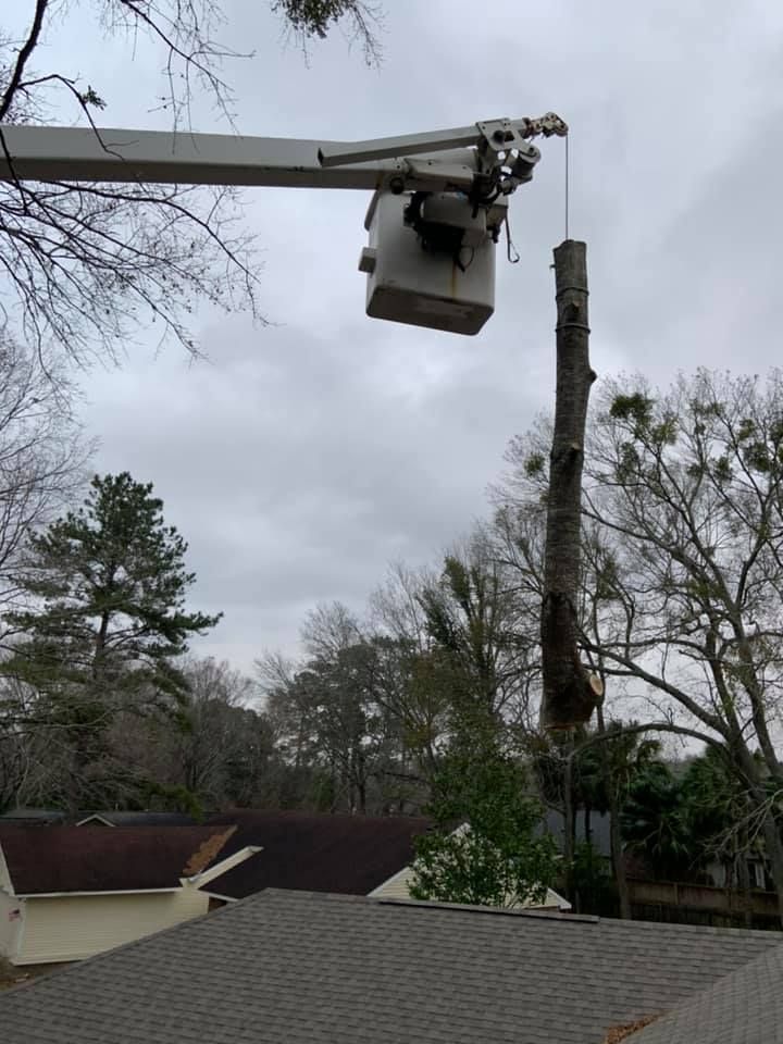 A bucket truck is cutting down a tree in front of a house