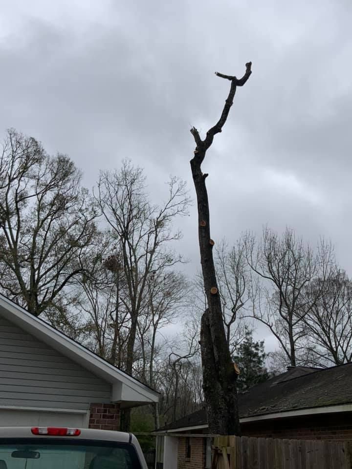A truck is parked in front of a tree that has been cut down.