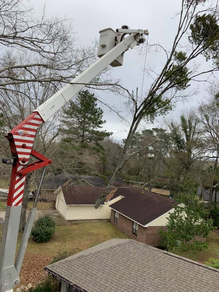 A crane is cutting a tree in front of a house.