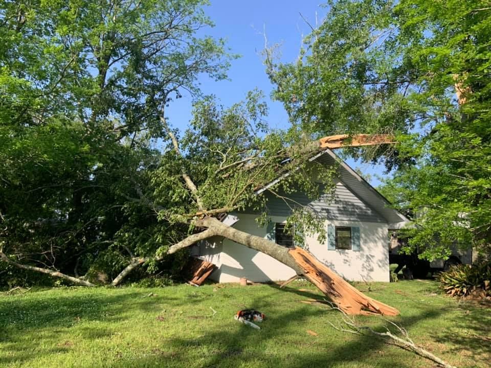 A tree has fallen on the roof of a house.