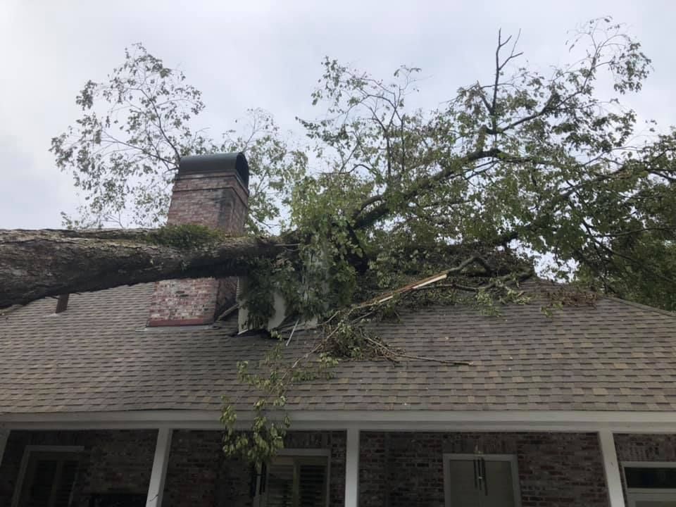 A tree has fallen on the roof of a house.