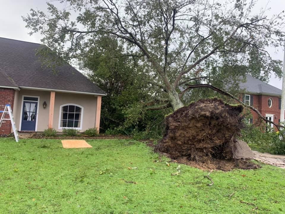 A large tree stump is sitting in front of a house.
