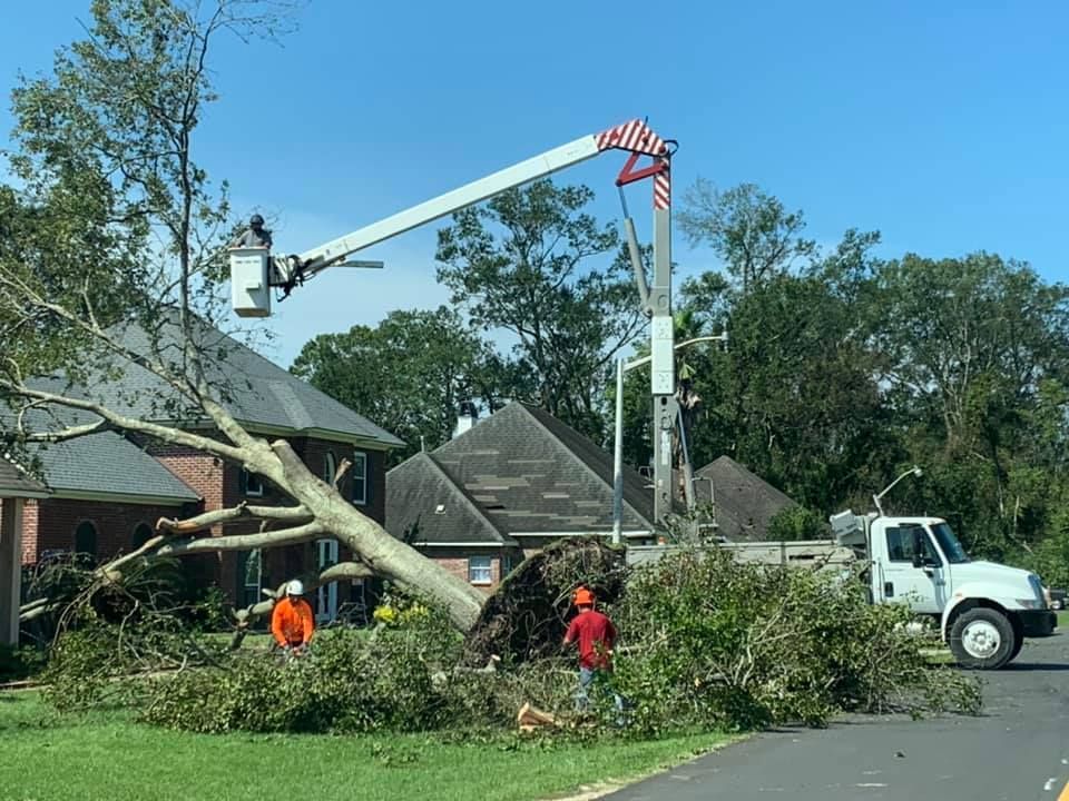 A crane is being used to remove a tree that has fallen on a house.