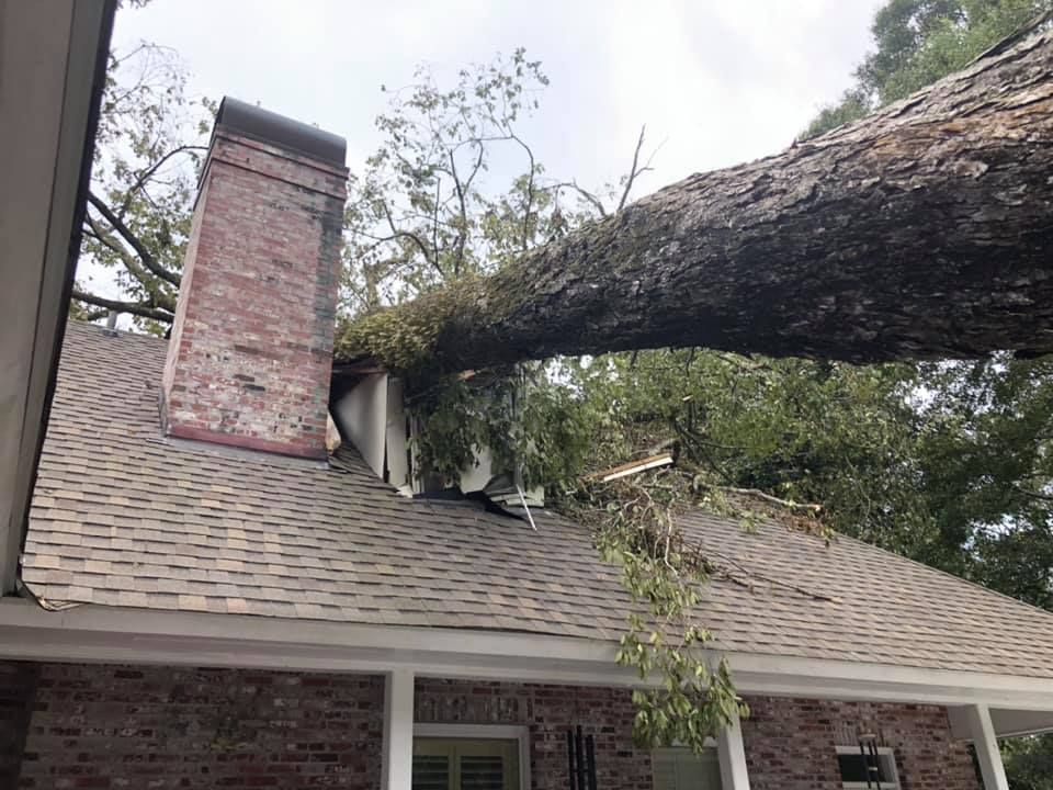 A large tree branch is hanging over the roof of a house.