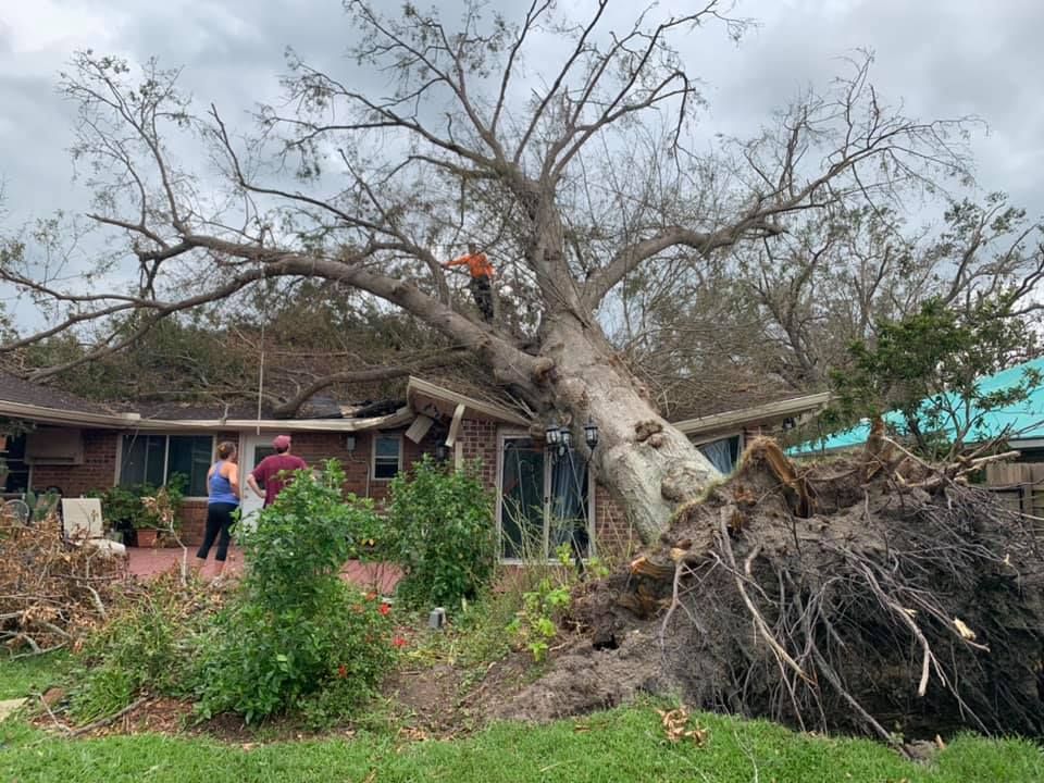 A large tree has fallen on top of a house.