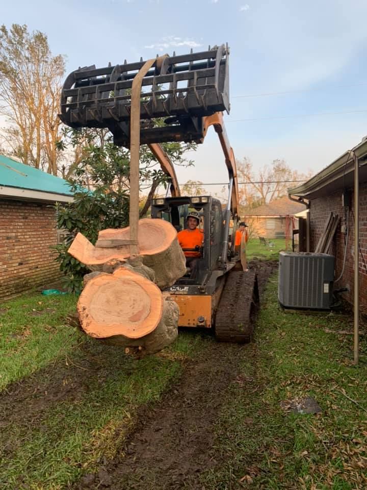A man is driving a bulldozer carrying a large tree stump.