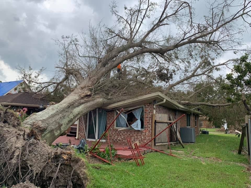 A tree has fallen on top of a brick house.