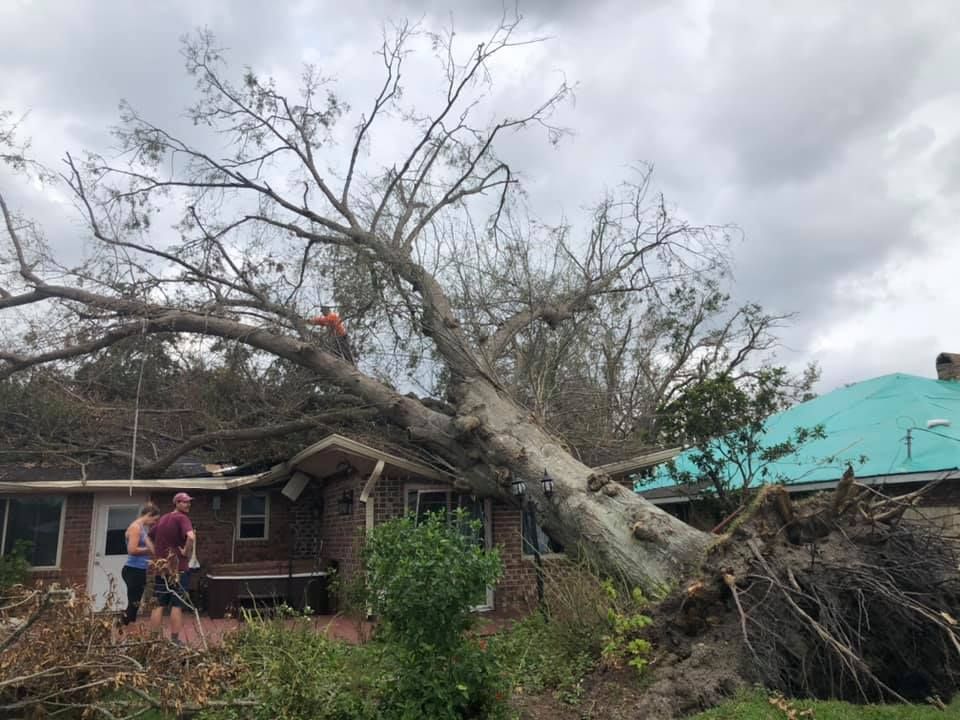 A large tree has fallen on top of a house.
