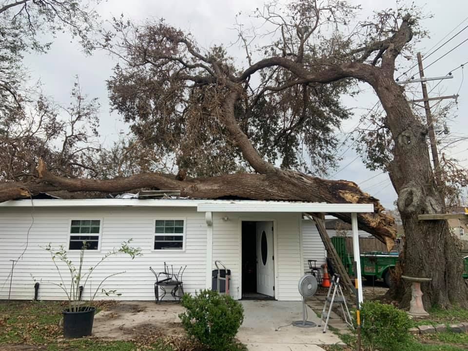 A tree has fallen on the roof of a house.