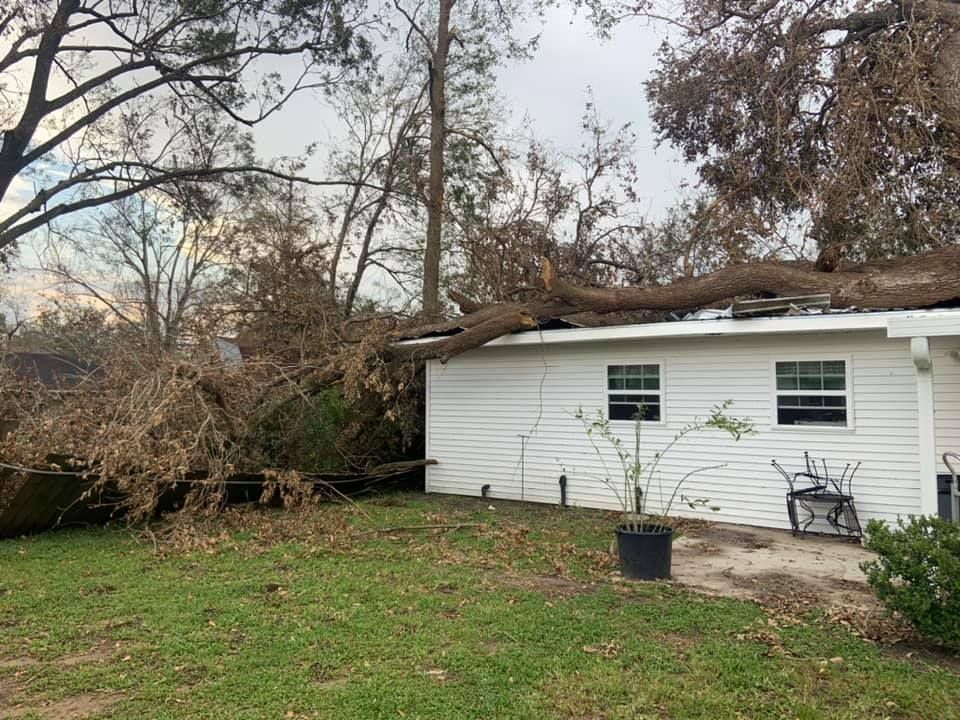 A tree has fallen on the roof of a house.