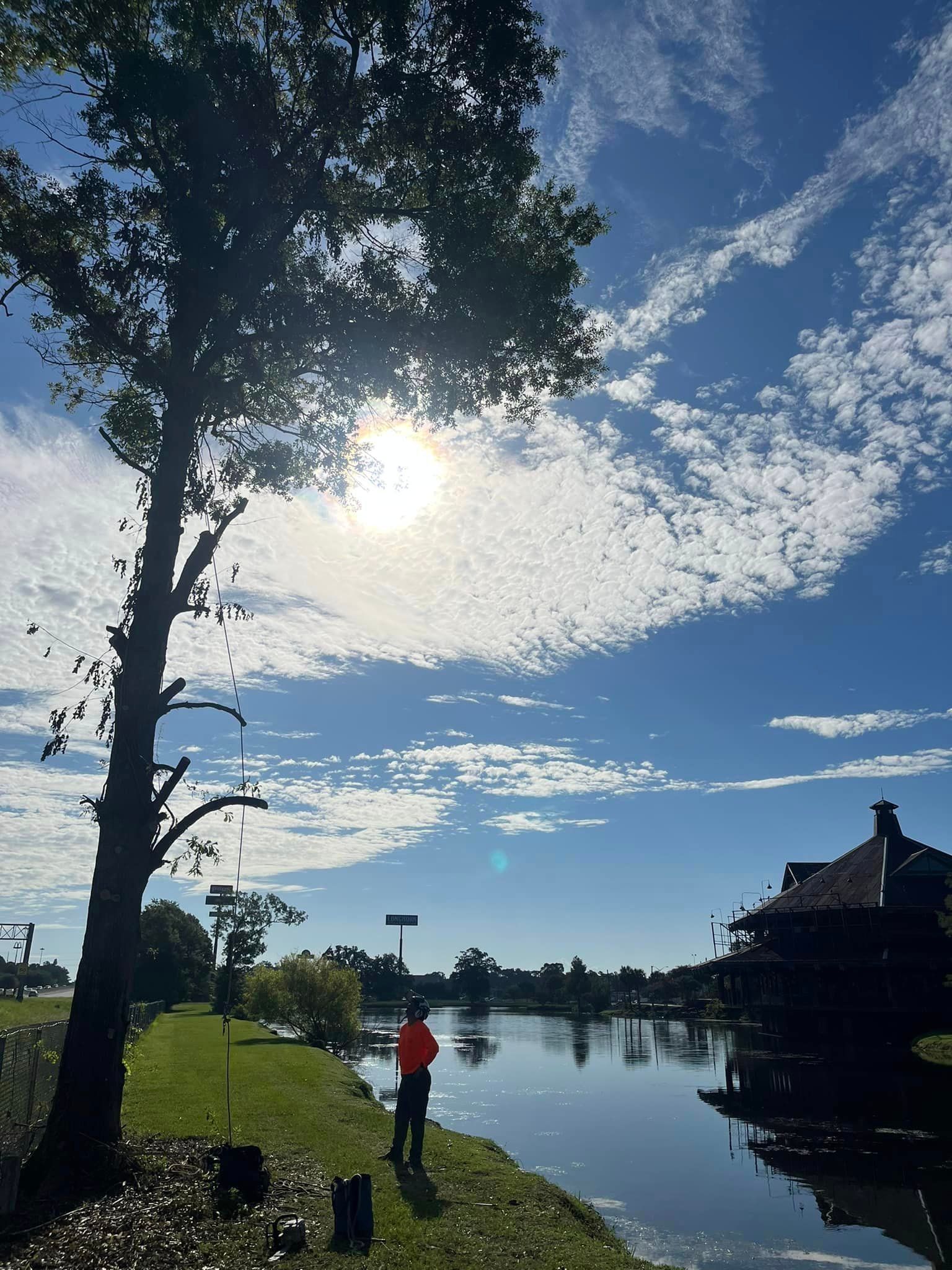 A man is standing on the shore of a lake next to a tree.