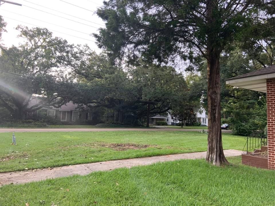 A brick house with a large lawn in front of it
