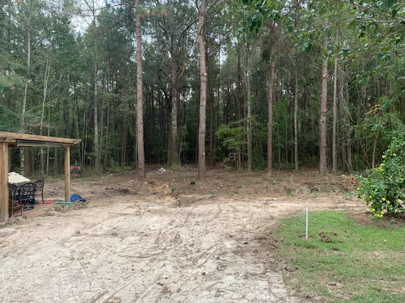 A dirt road leading to a house in the middle of a forest.