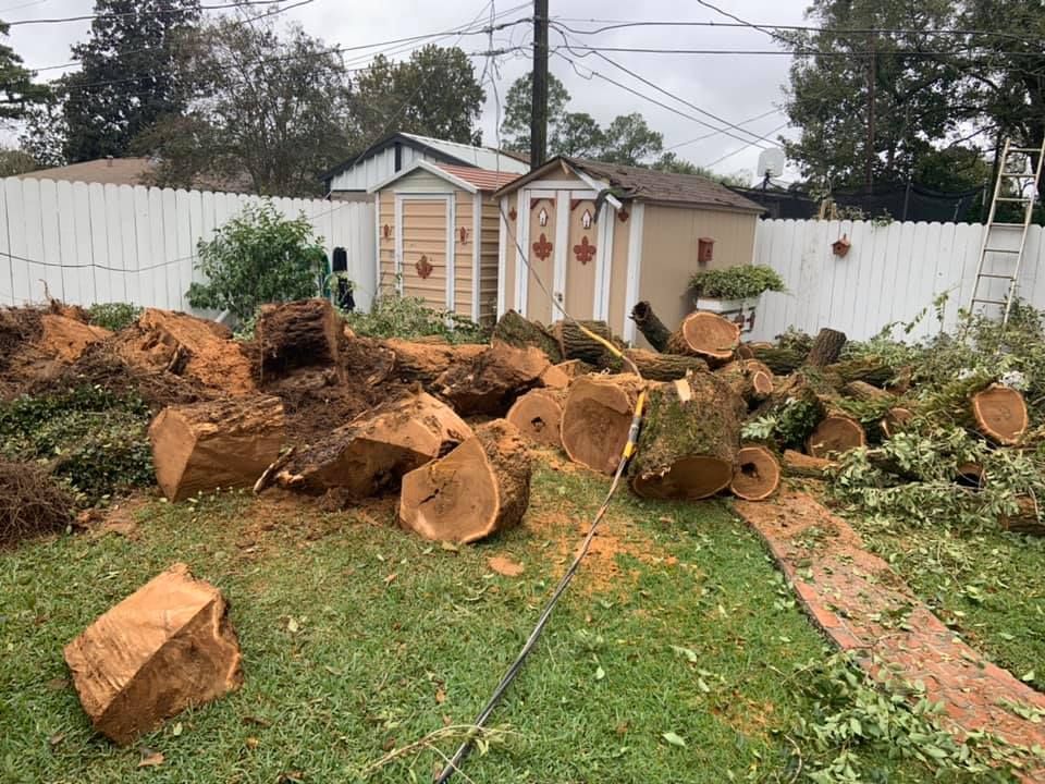 A pile of logs in a yard in front of a house.