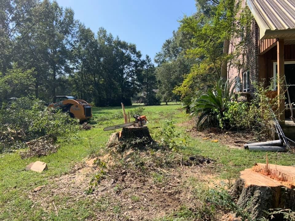 A tree stump is sitting in the middle of a grassy field in front of a house.
