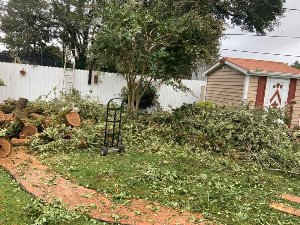 A bunch of branches are laying on the ground in front of a house.