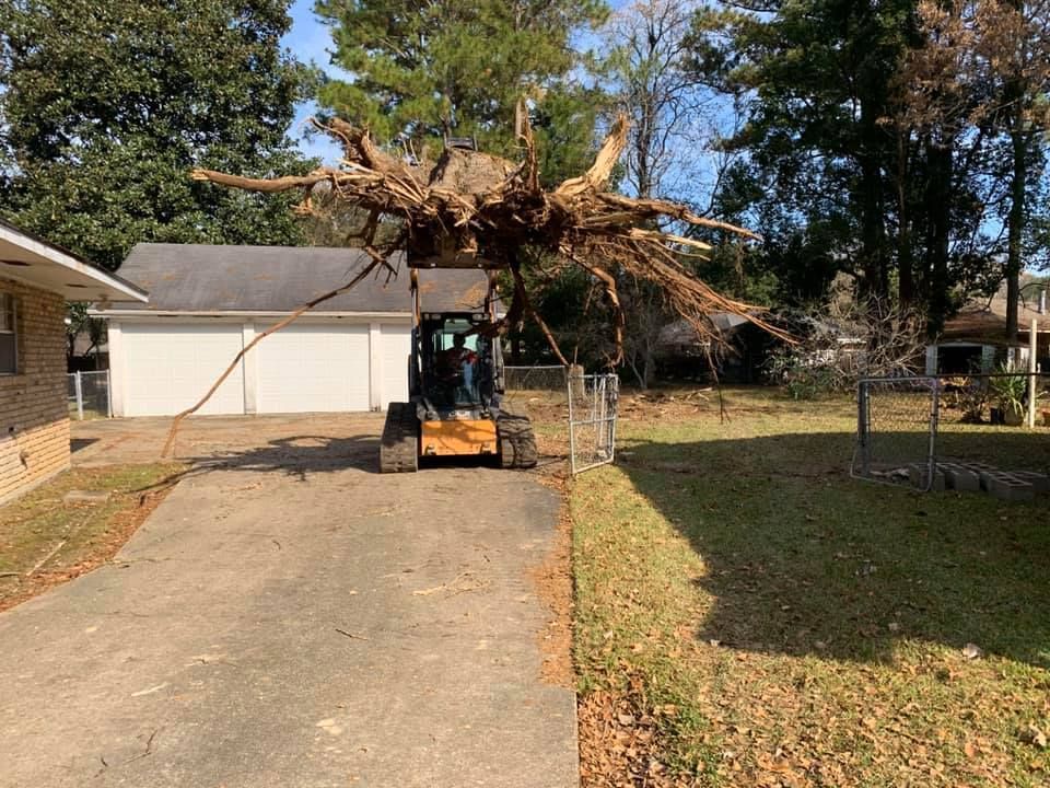 A large tree stump is being lifted by a bulldozer in a driveway.