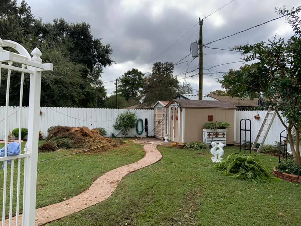 A path leading to a shed in a backyard