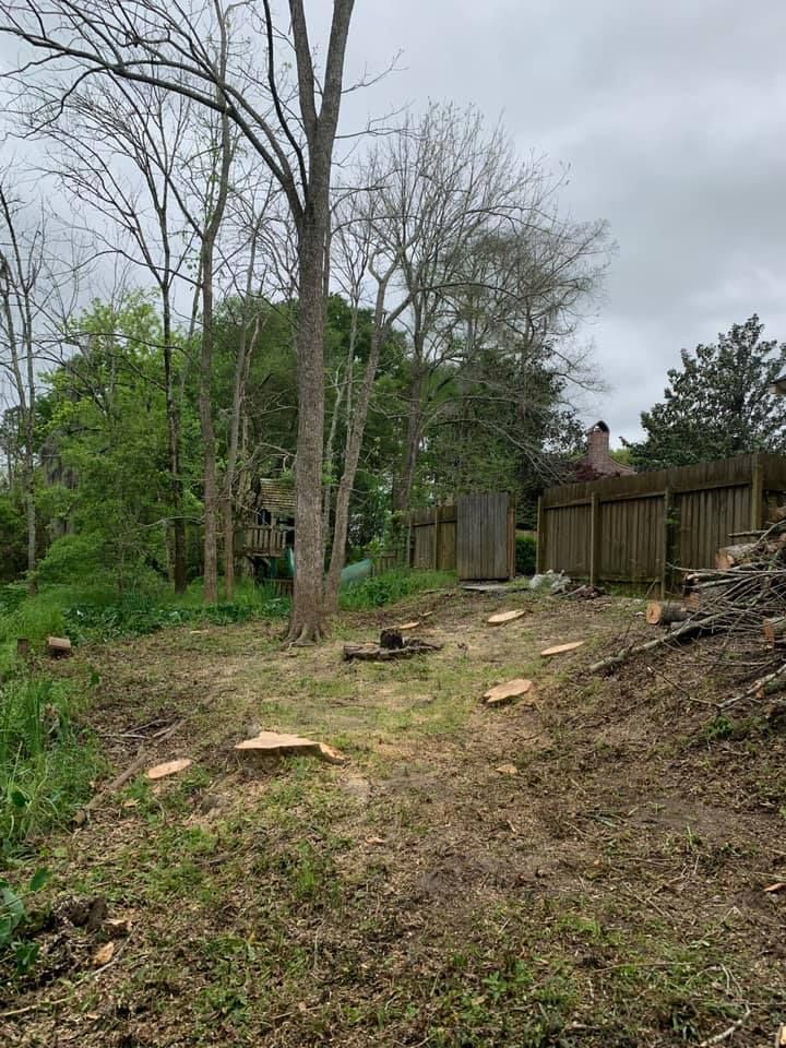A backyard with trees and a fence in the background.
