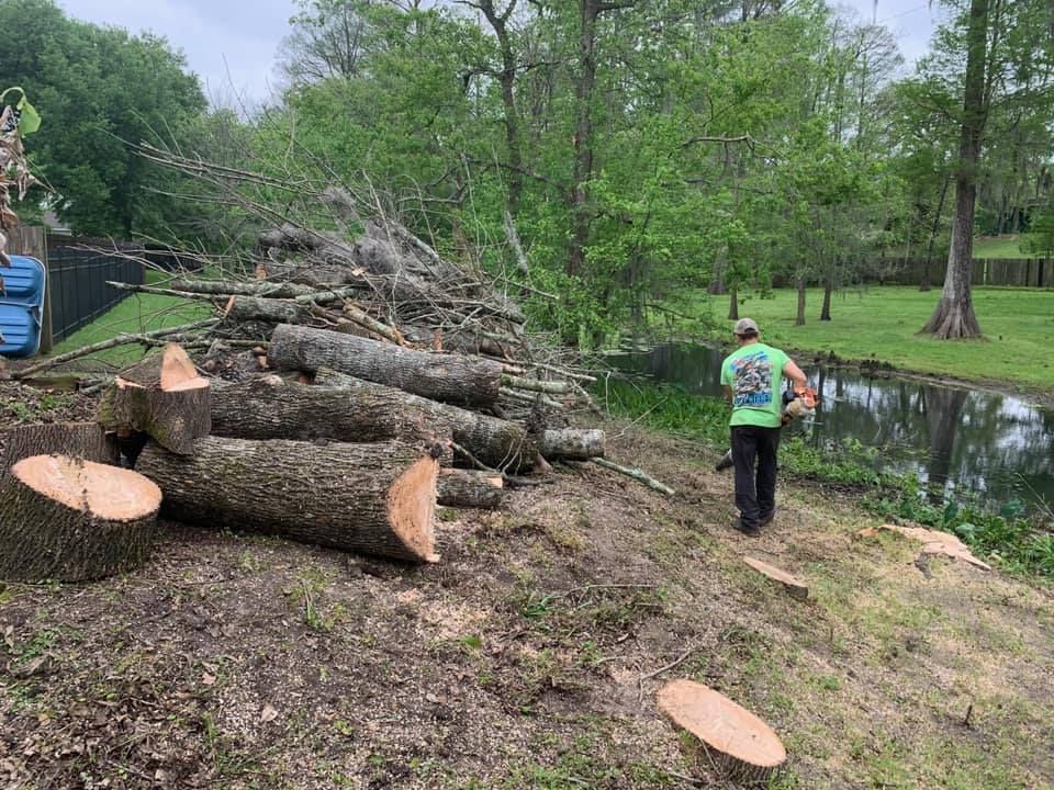 A man is standing next to a pile of logs.