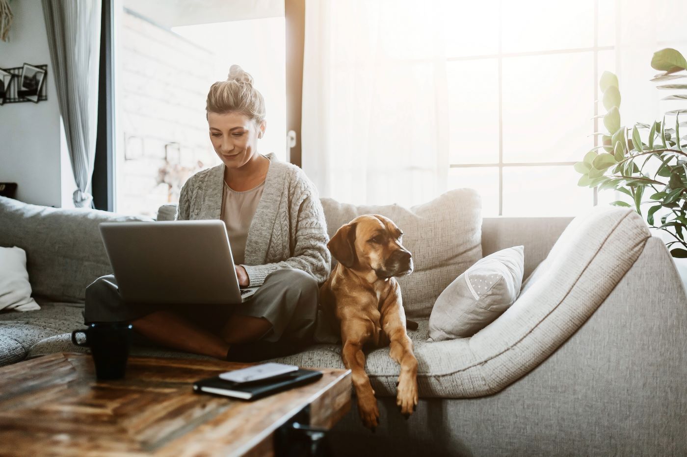 A woman is sitting on a couch with a laptop and a dog.