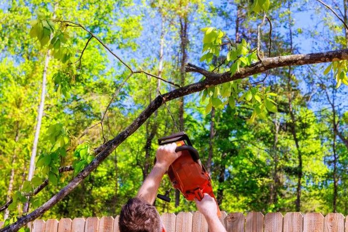 Person cutting a tree branch with a chainsaw near a wooden fence, outdoors.