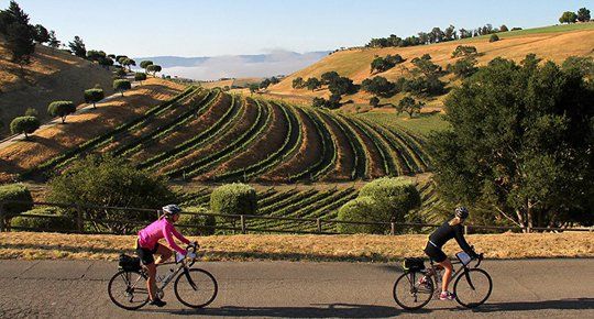 Cycle through the Santa Ynez Country side