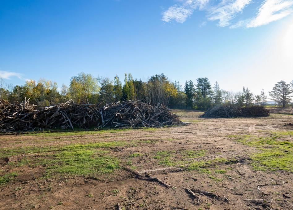 There Is a Large Pile of Logs in The Middle of A Field — True Blue Australian Tree Services in Blue Haven, NSW