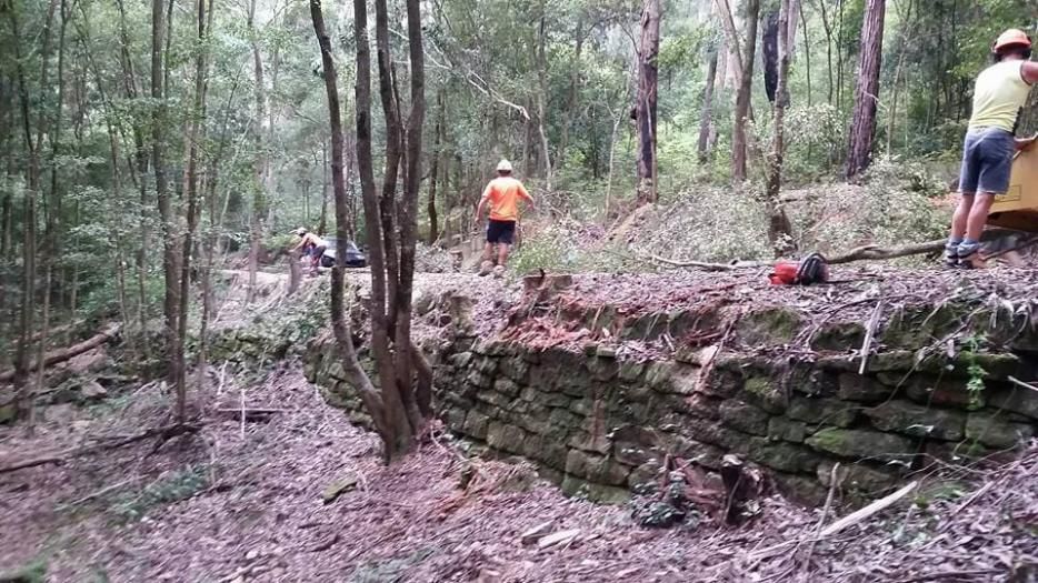 A Group of People Are Working on A Stone Wall in The Woods — True Blue Australian Tree Services in Morisset, NSW