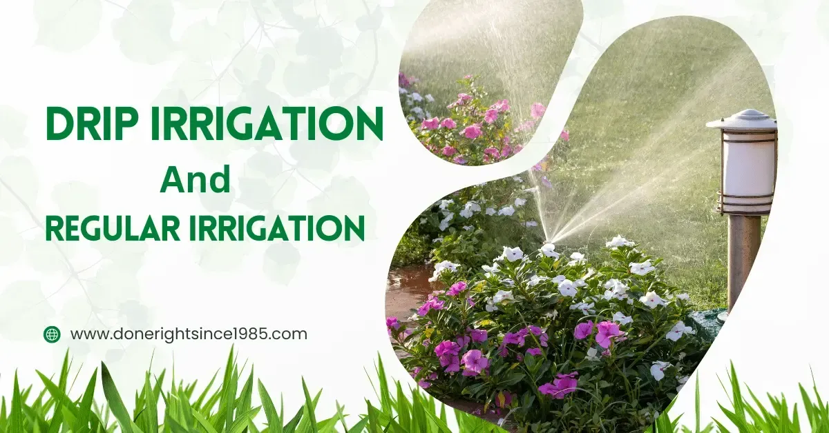 Drip irrigation and regular irrigation comparison, with flowers, grass, and sprinklers watering a garden