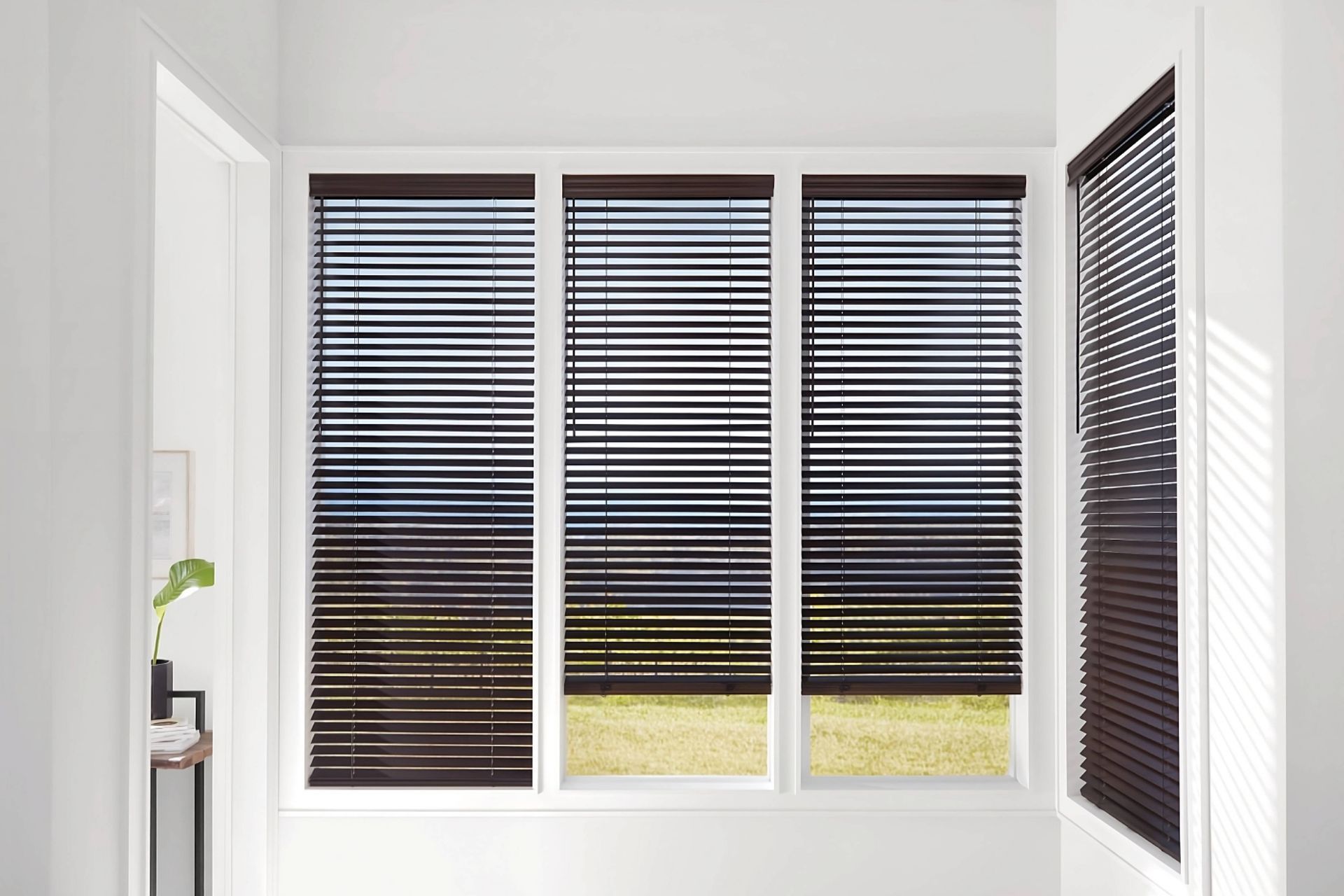Where Can I Buy Hunter Douglas Blinds