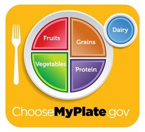 MyPlate graphic divides a plate into sections: fruits, vegetables, grains, protein; dairy circle.