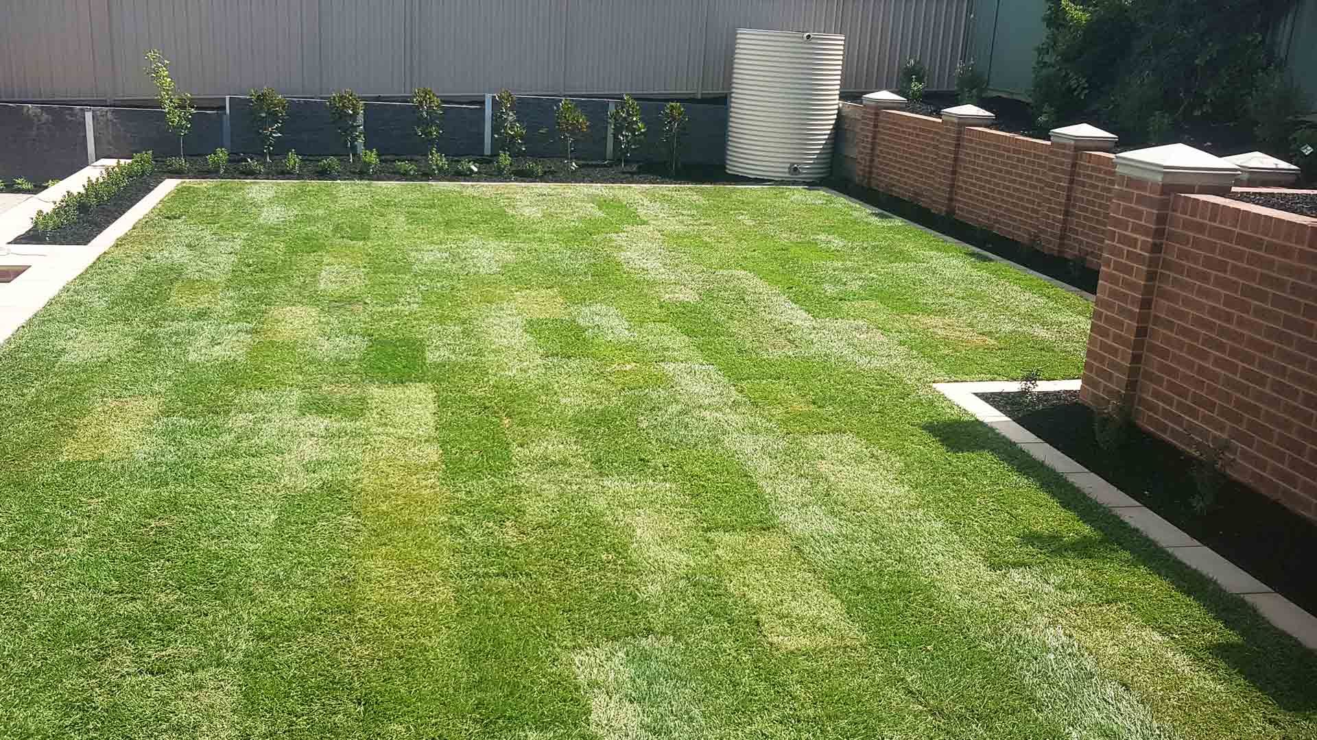 A Brick Fence Surrounds a Lush Green Lawn — Bendigo, VIC — Ian Kelly Landscape Contractor 
