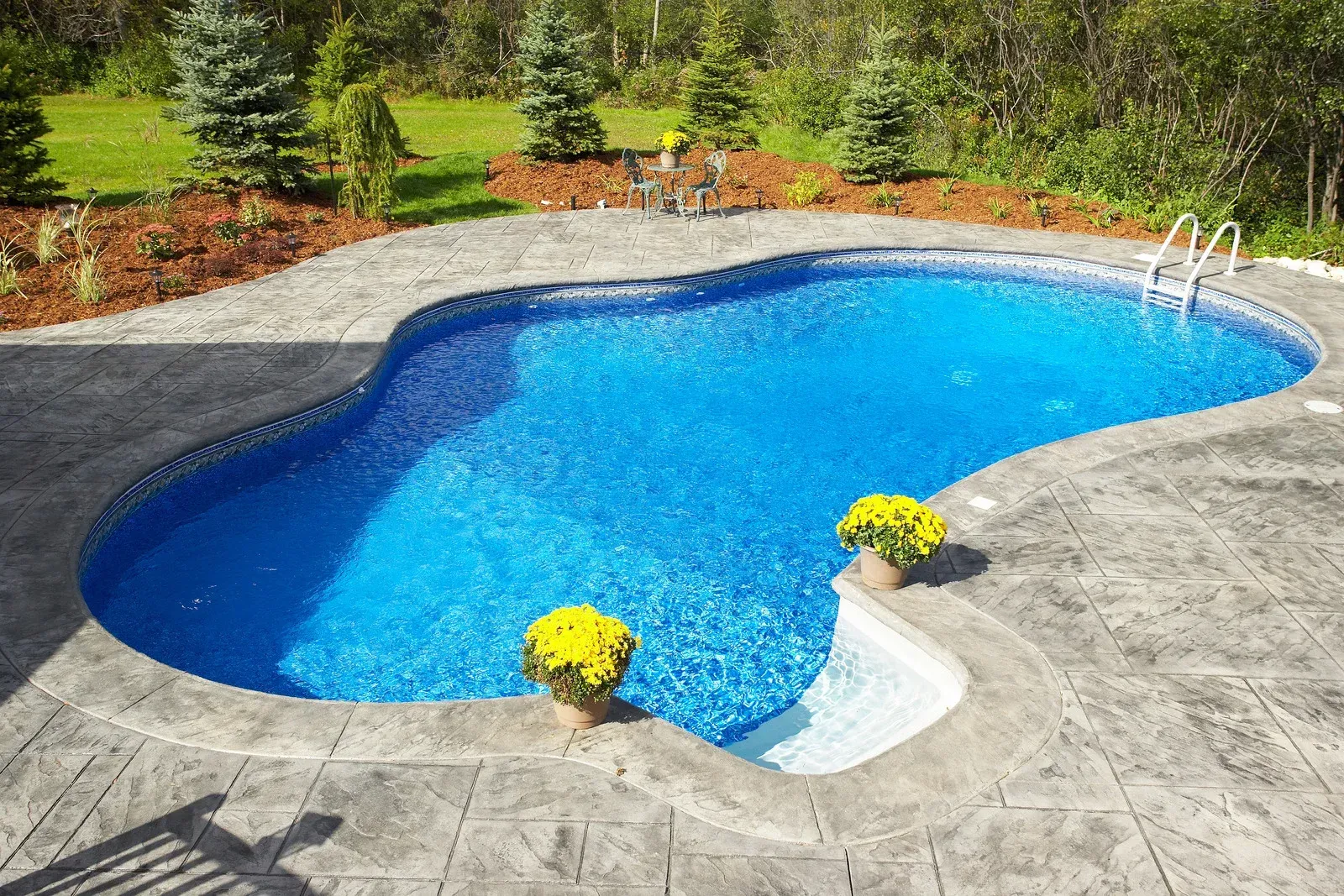 Freeform backyard pool with blue water, gray stone deck, and potted yellow flowers by the steps