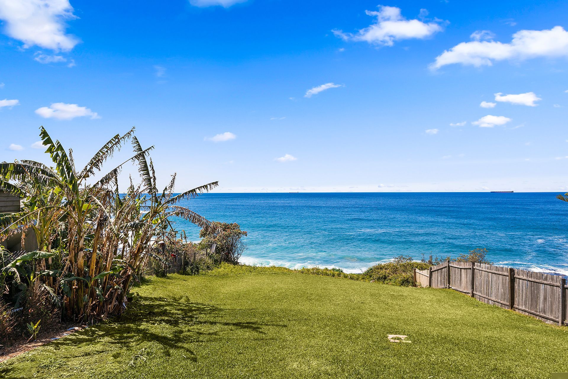 Driftwood @ Wombarra