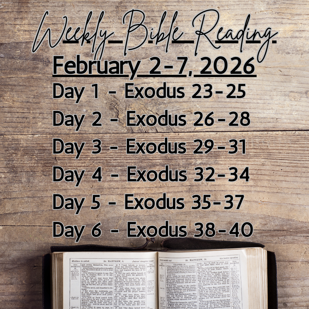 Weekly Bible Reading Graphic