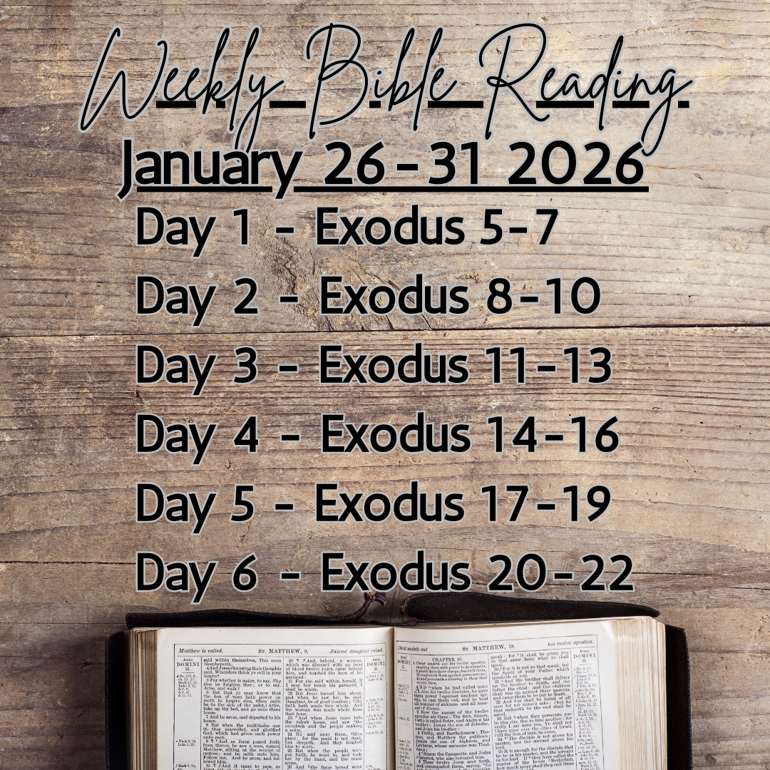 Weekly Bible Reading Graphic