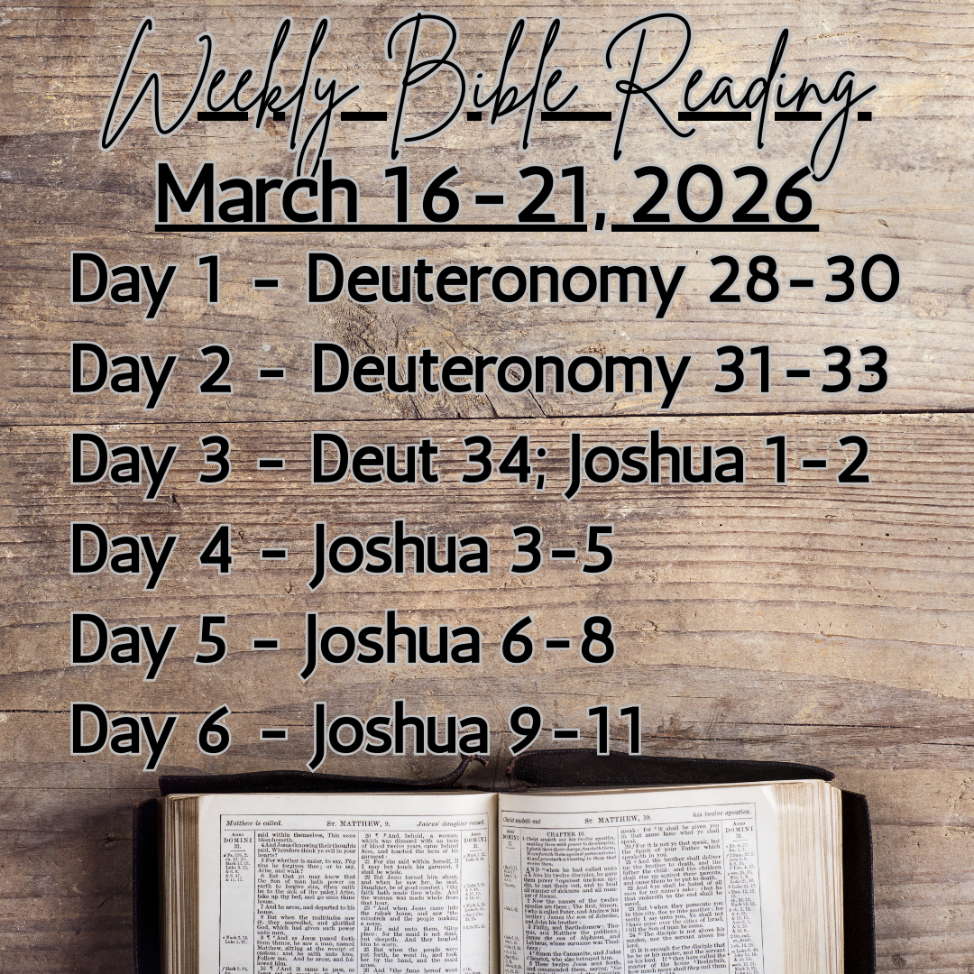Weekly Bible Reading Graphic