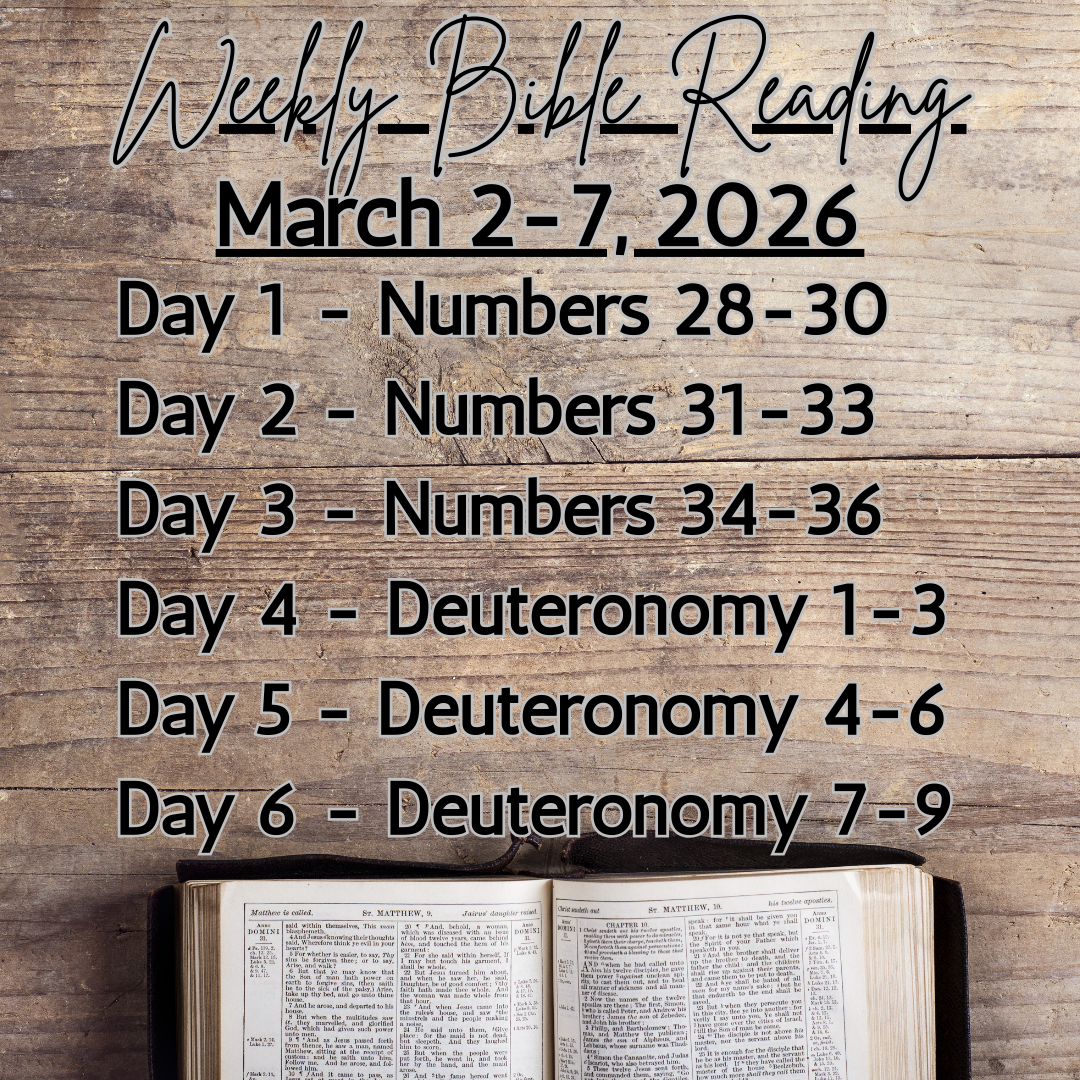 Weekly Bible Reading Graphic