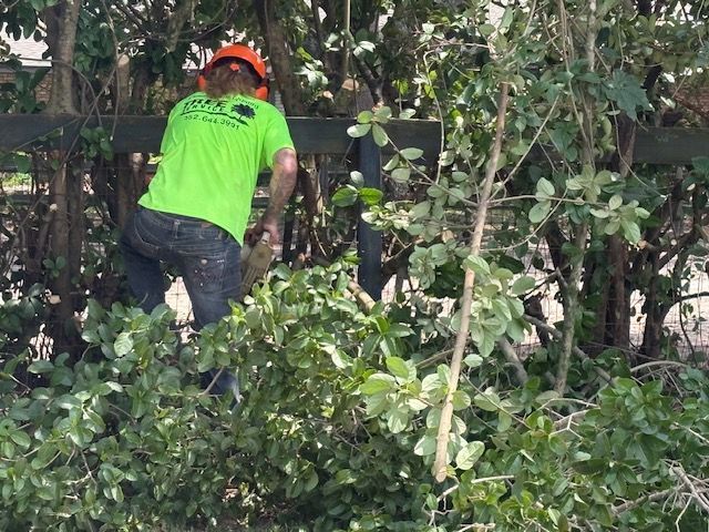 Worker in a neon green shirt clearing fallen branches in dense bushes at night