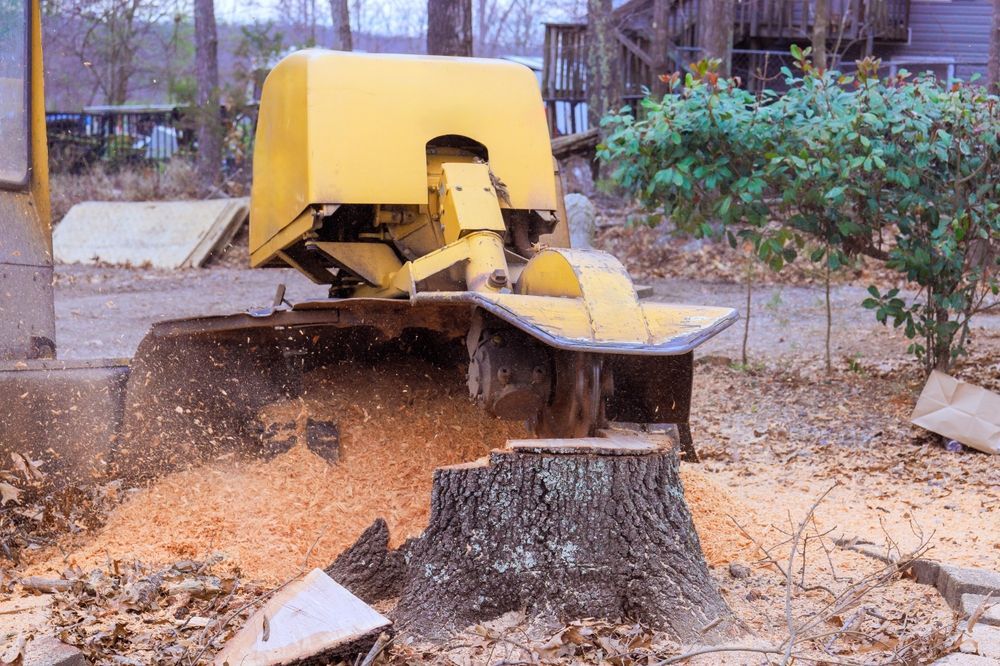 Yellow wood chipper ejecting sawdust beside a tree stump in a yard
