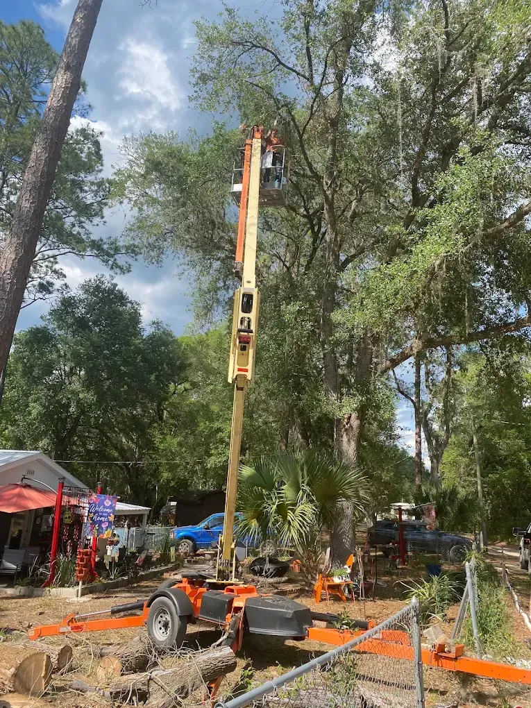 Tree-trimming lift raised among tall trees at an outdoor worksite, with orange equipment and a red tent nearby