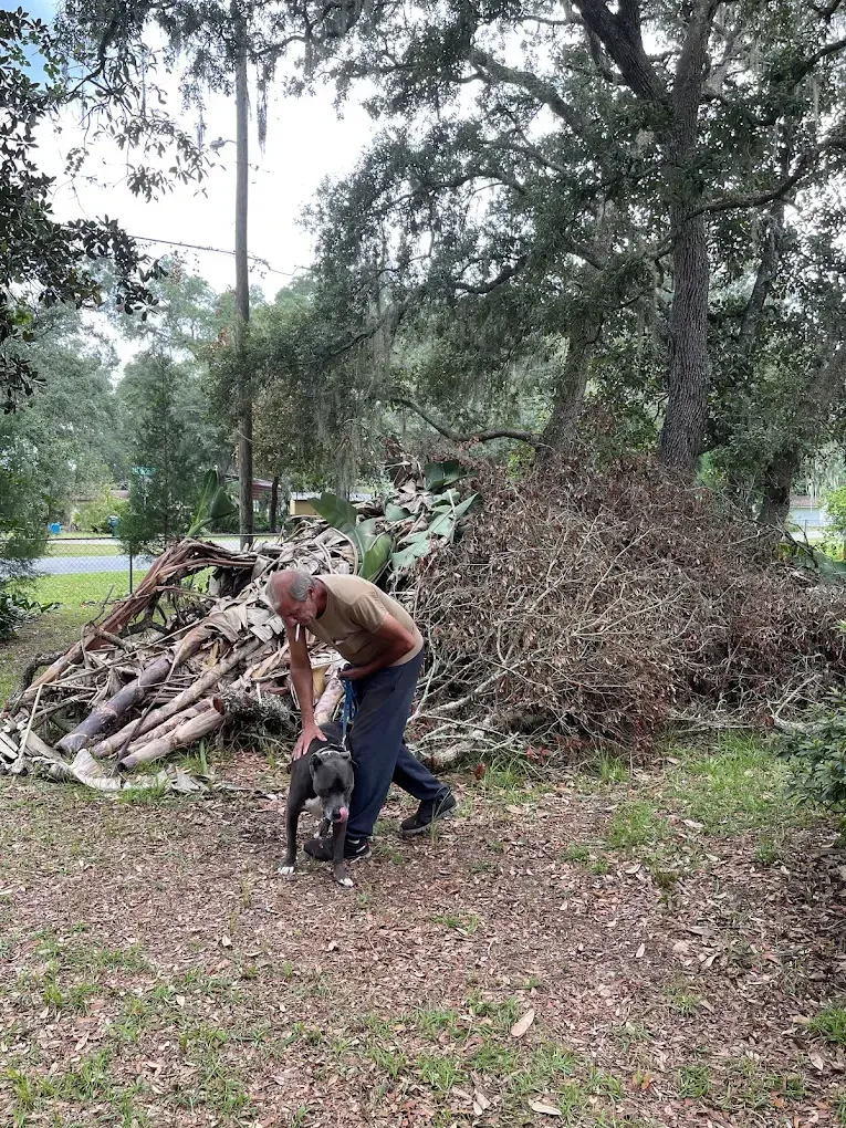 Person bending over to cut branches beside a large pile of yard debris in a wooded area.