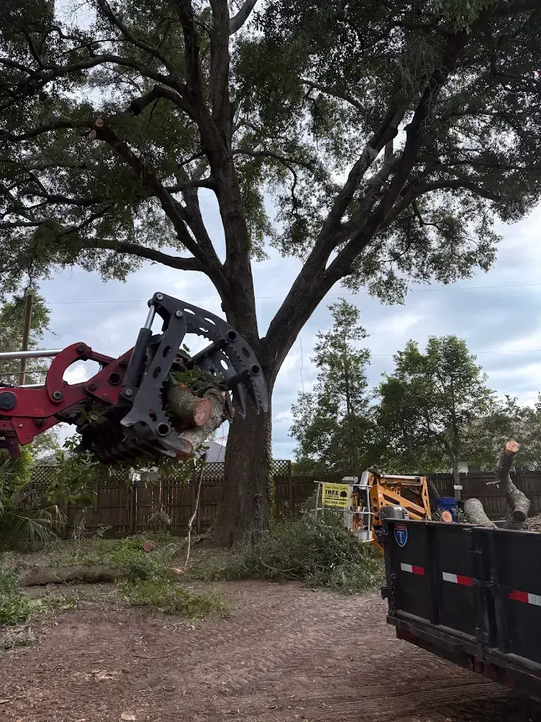 Excavator lifting debris near a large tree, with a black dumpster and other machinery in the background.