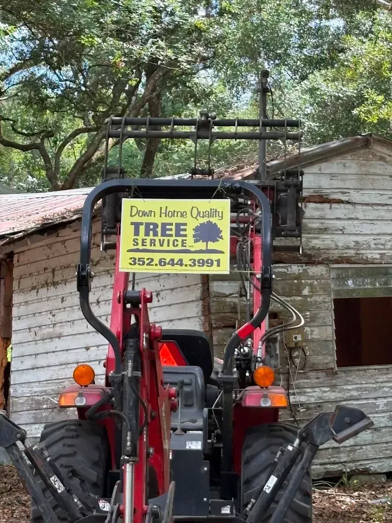 Red compact tractor with tree service sign on back, parked in front of a weathered shed.