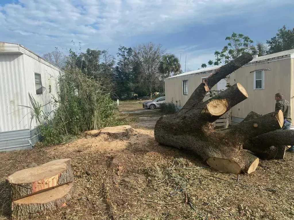 Large tree trunk segments and wood chips beside white mobile homes on a dirt lot