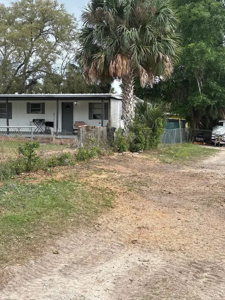 Rural house with a porch, palm tree, and dirt driveway in a wooded yard