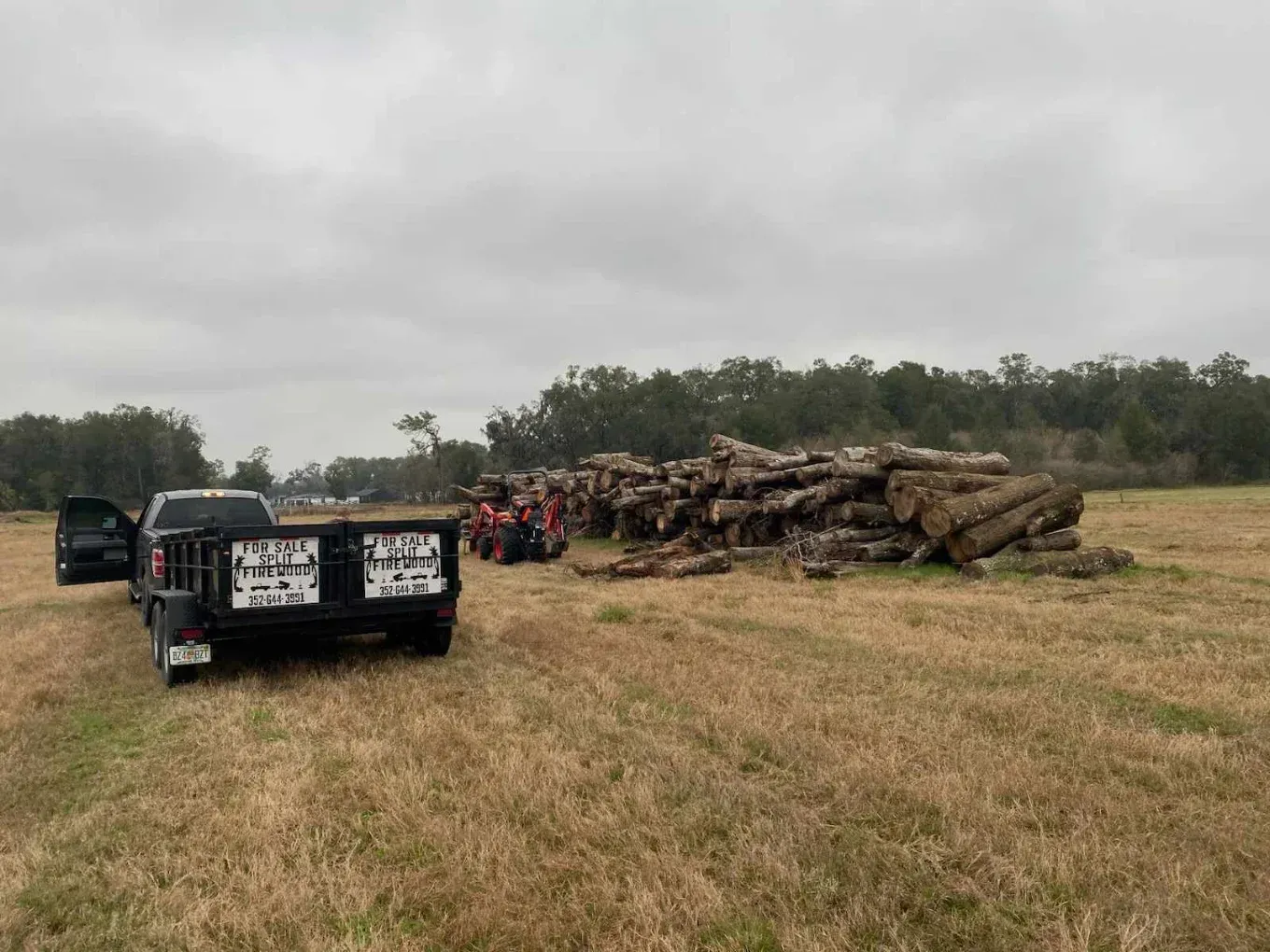 Log truck loaded with cut logs in a grassy field under a cloudy sky
