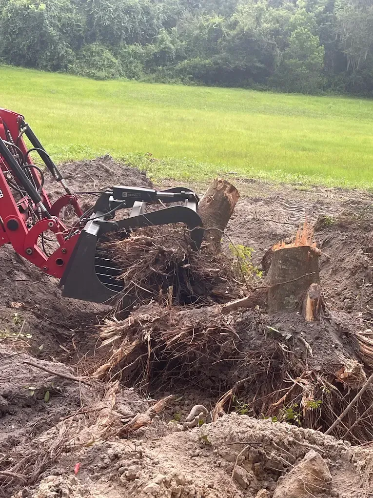 Red excavator bucket tearing out a tree stump in a muddy field beside green grass.